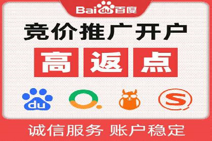 SEM竞价代运营公司案例深度解析